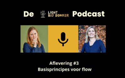 Afl 3. Basisprincipes voor flow