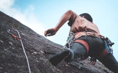 Persoonlijk Leiderschap en moed in de Obeya
