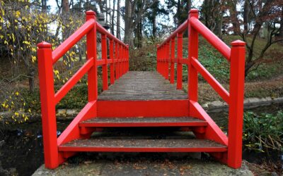 De kracht van verschillen benutten